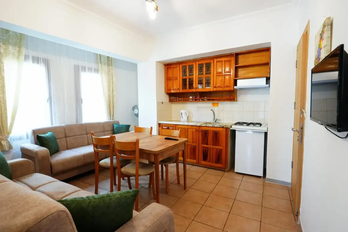The living area and kitchenette of the apartment