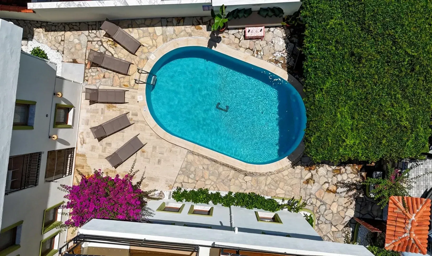 The garden pool seen from above